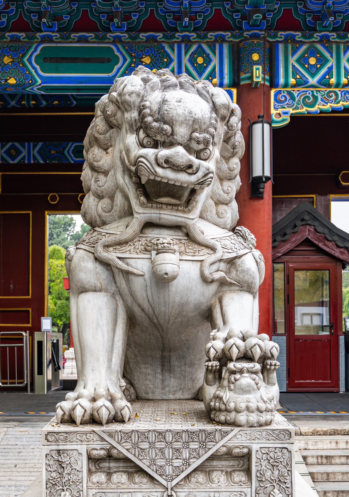 Lion.jpg