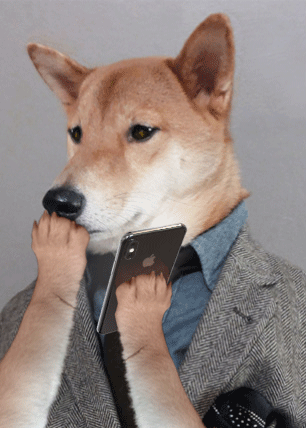 Literal Watchdog Blinking.gif