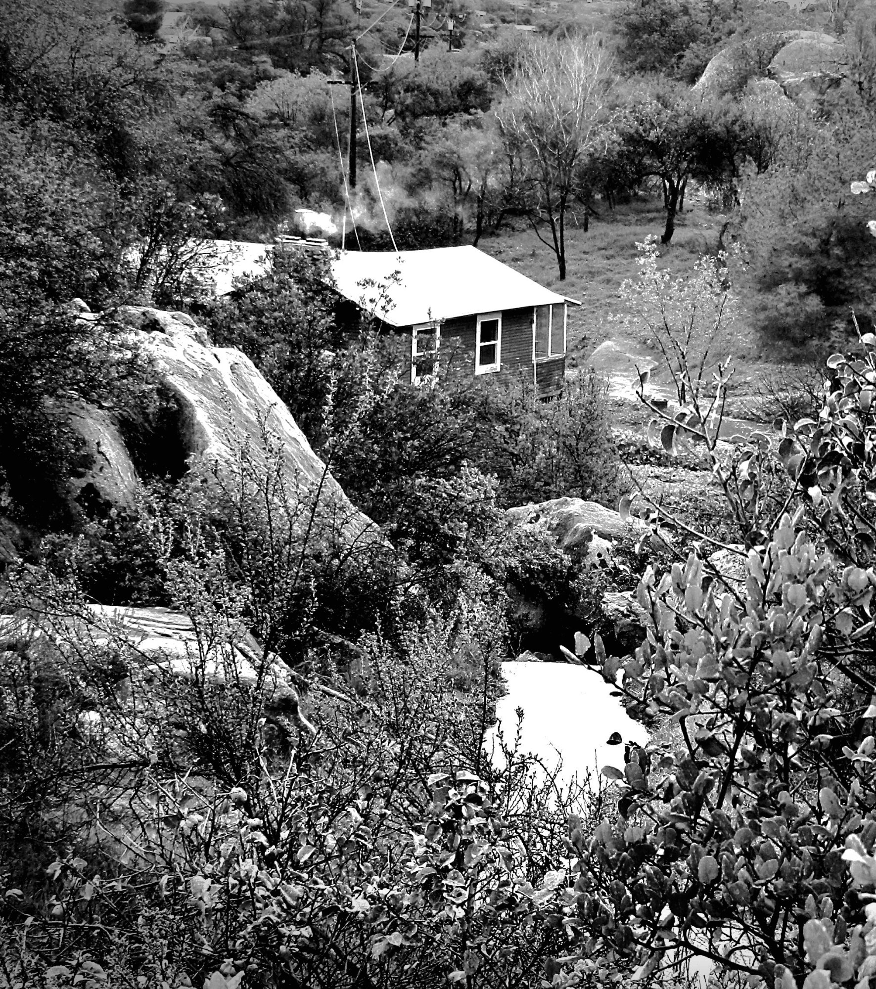 Little red house xbwcrop5.jpg