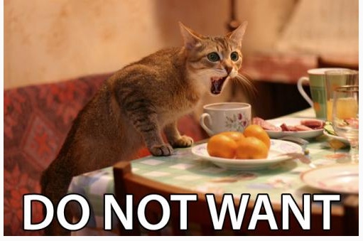 lol kitty "do not want".jpg