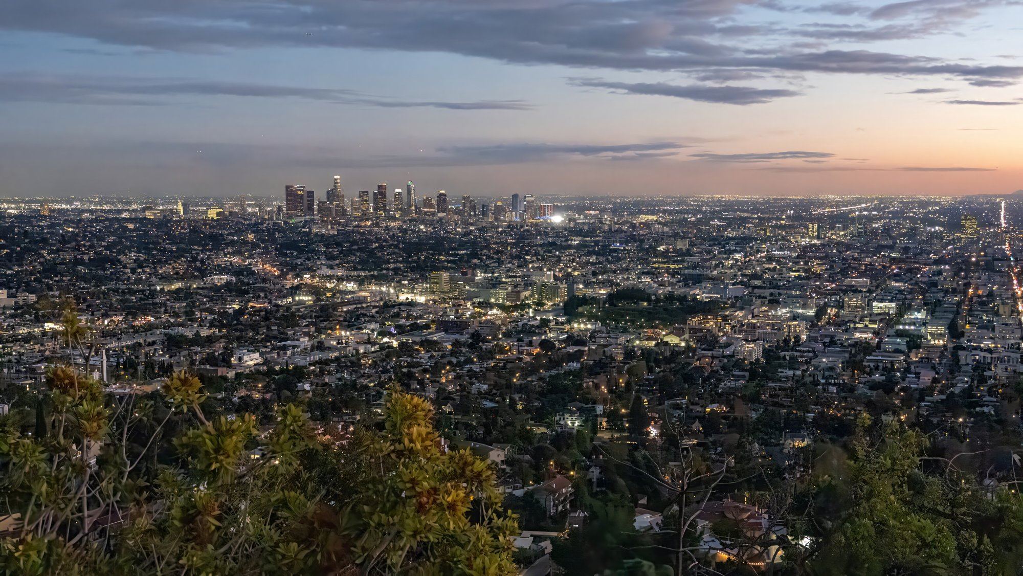 Los Angeles.jpg