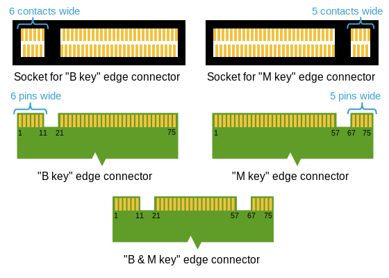 M2_Edge_Connector_Keying.svg.png