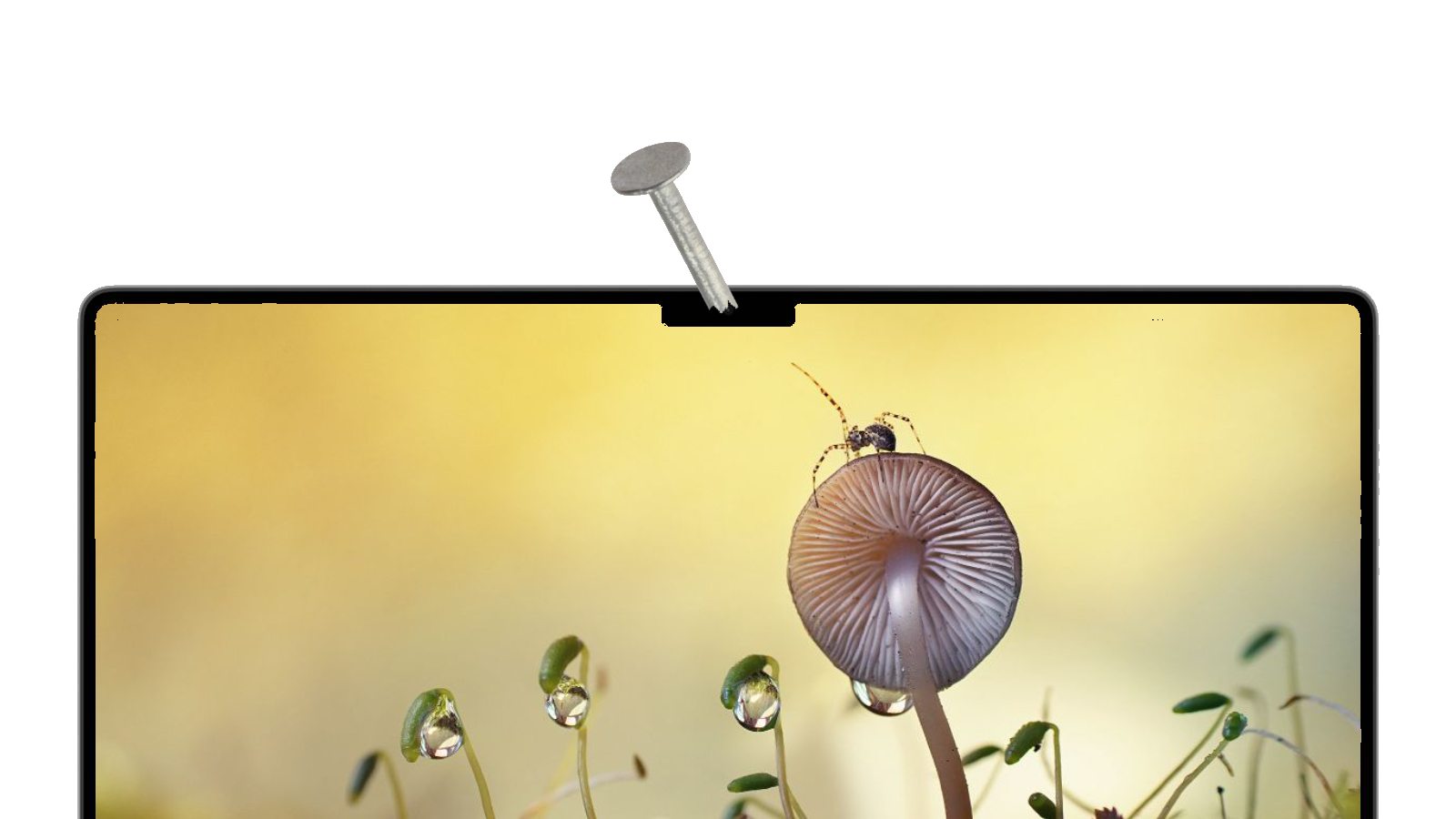 macbook-pro-2021-notch.png