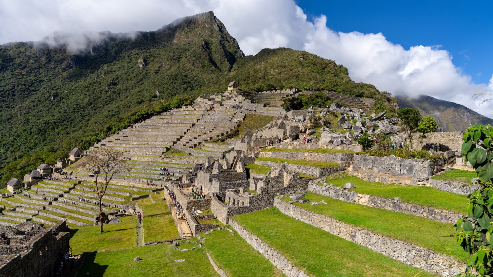 Machu Picchu.jpg