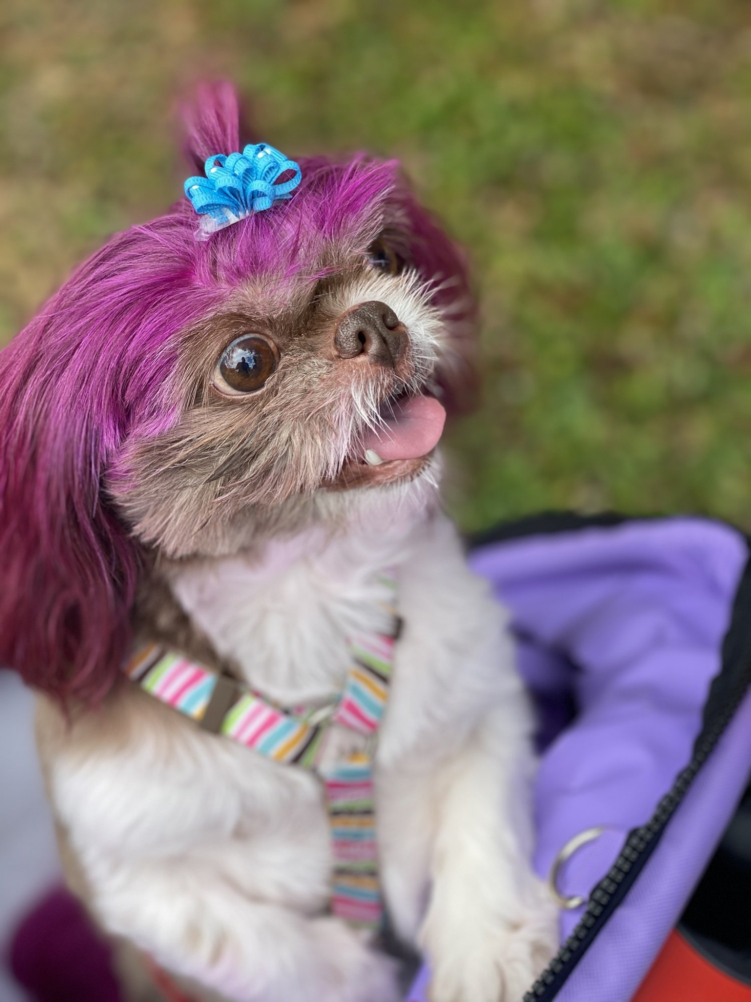 Macie1.jpg