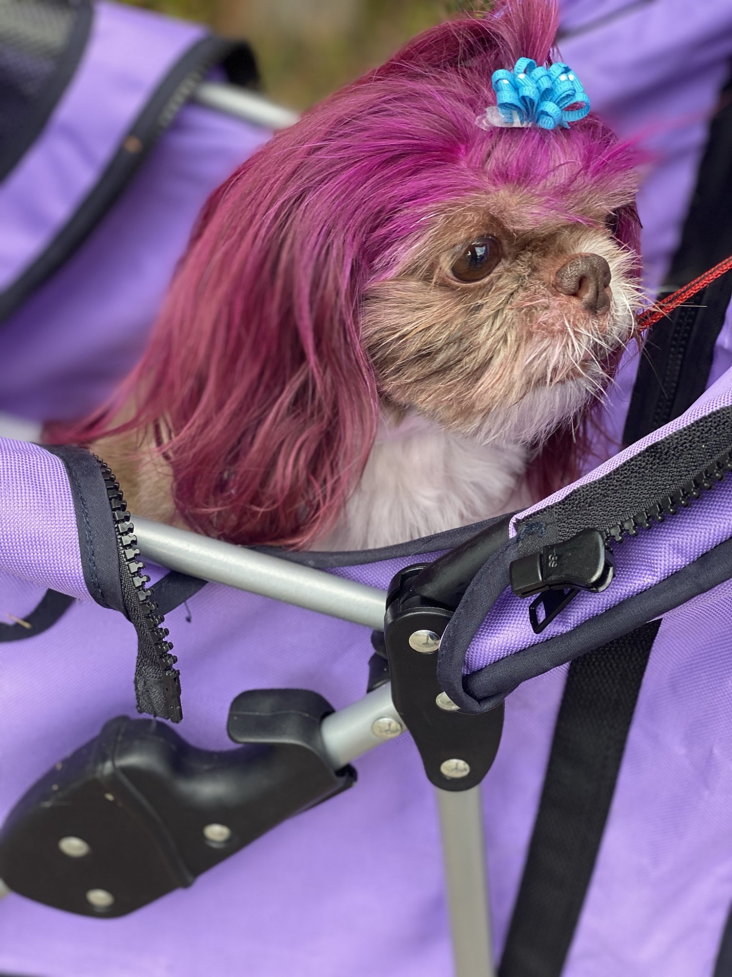 Macie2.jpg