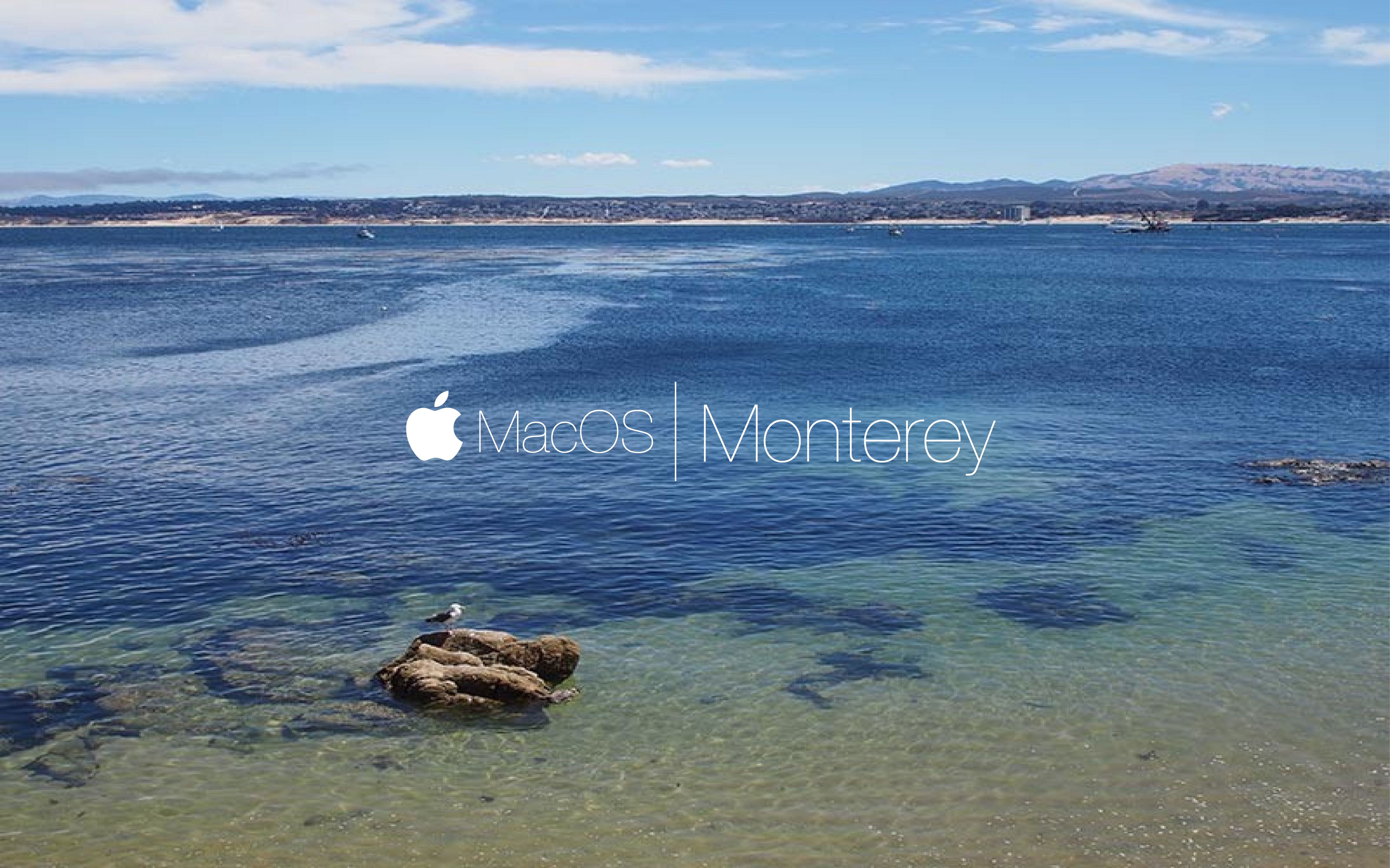 MacOS monterey 2.jpg