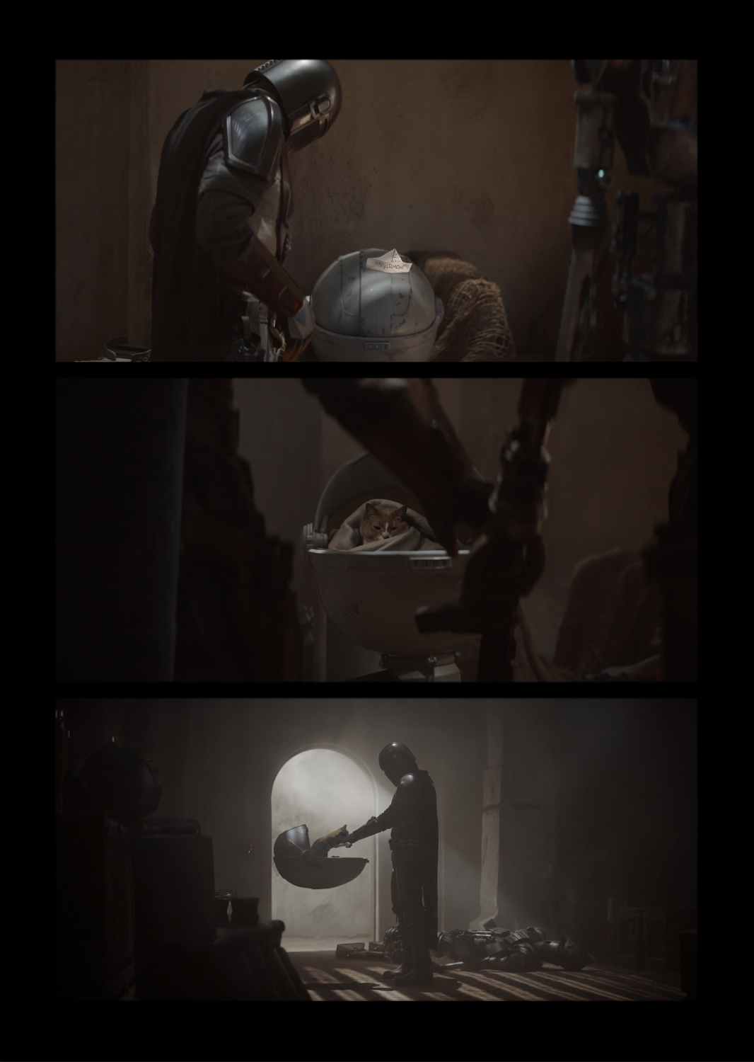 mandacardian.jpg