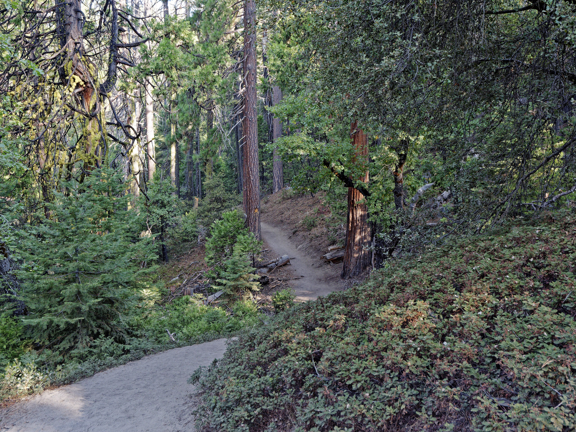 Mariposa trail 2k.jpg