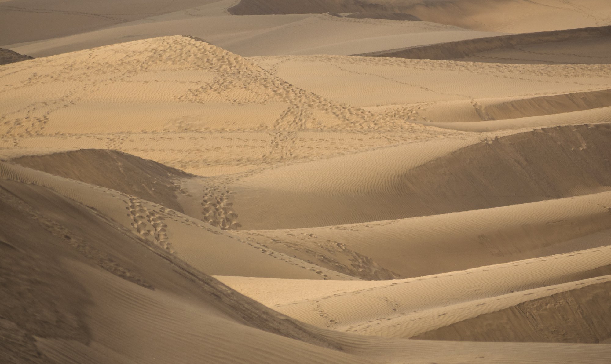 MaspalomasDunes20050915.jpg