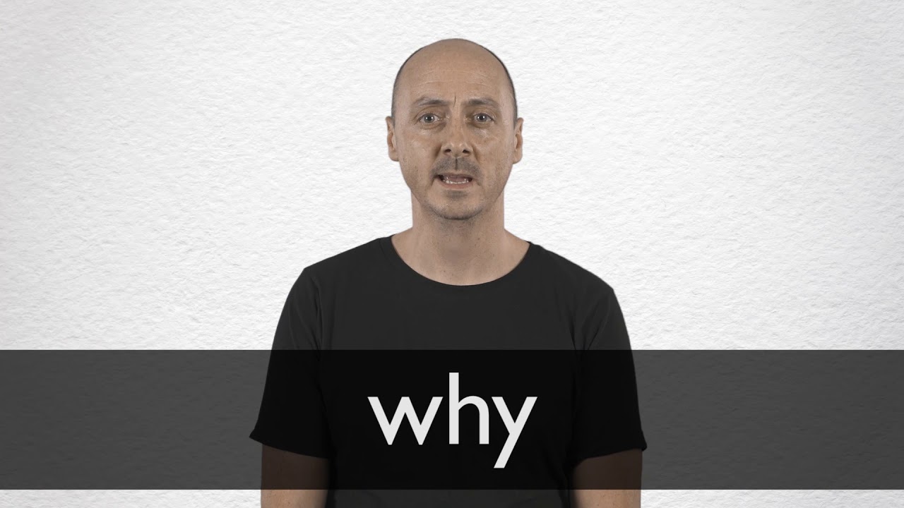 maxresdefault.jpg