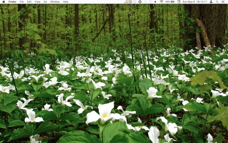 MayDesktop(2018).jpg