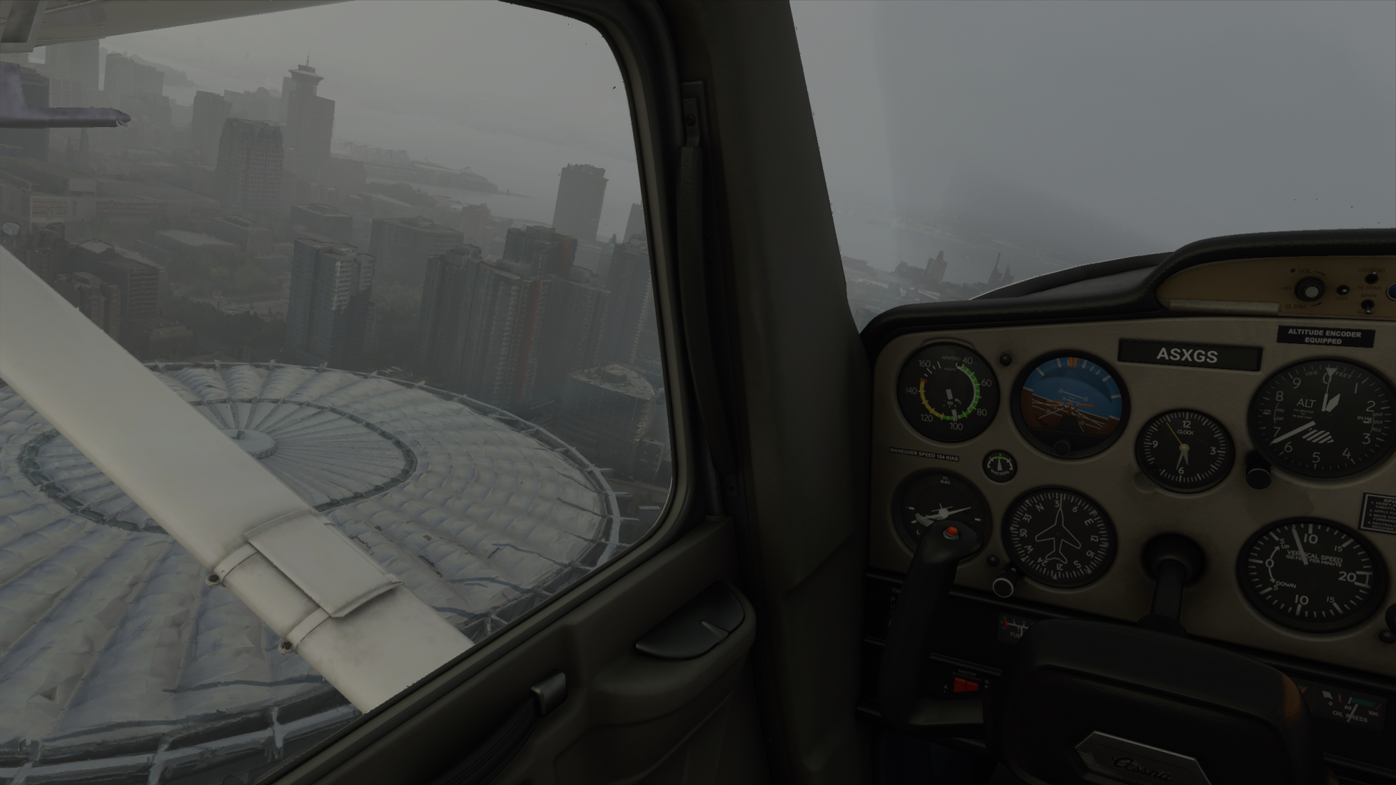 Microsoft Flight Simulator 8_21_2020 01_31_53.png
