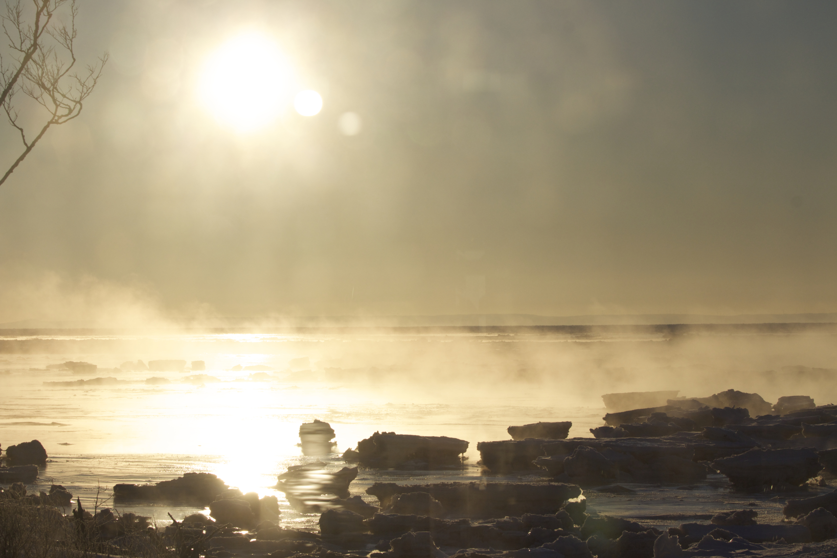 misty morning Feb 1.jpg