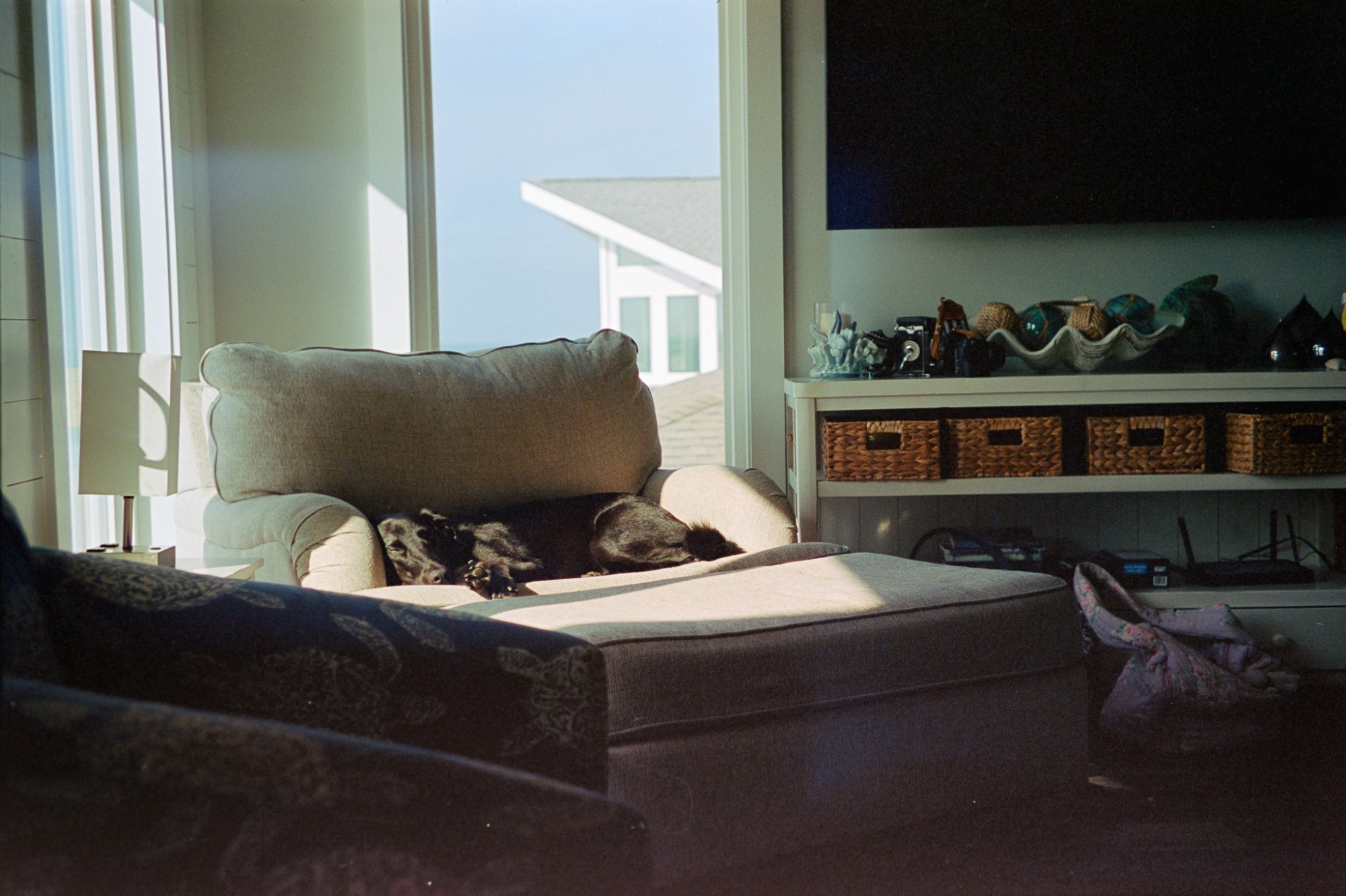 molly-028-positive.jpg