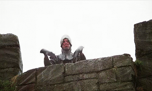 monty-python-the-holy-grail.gif
