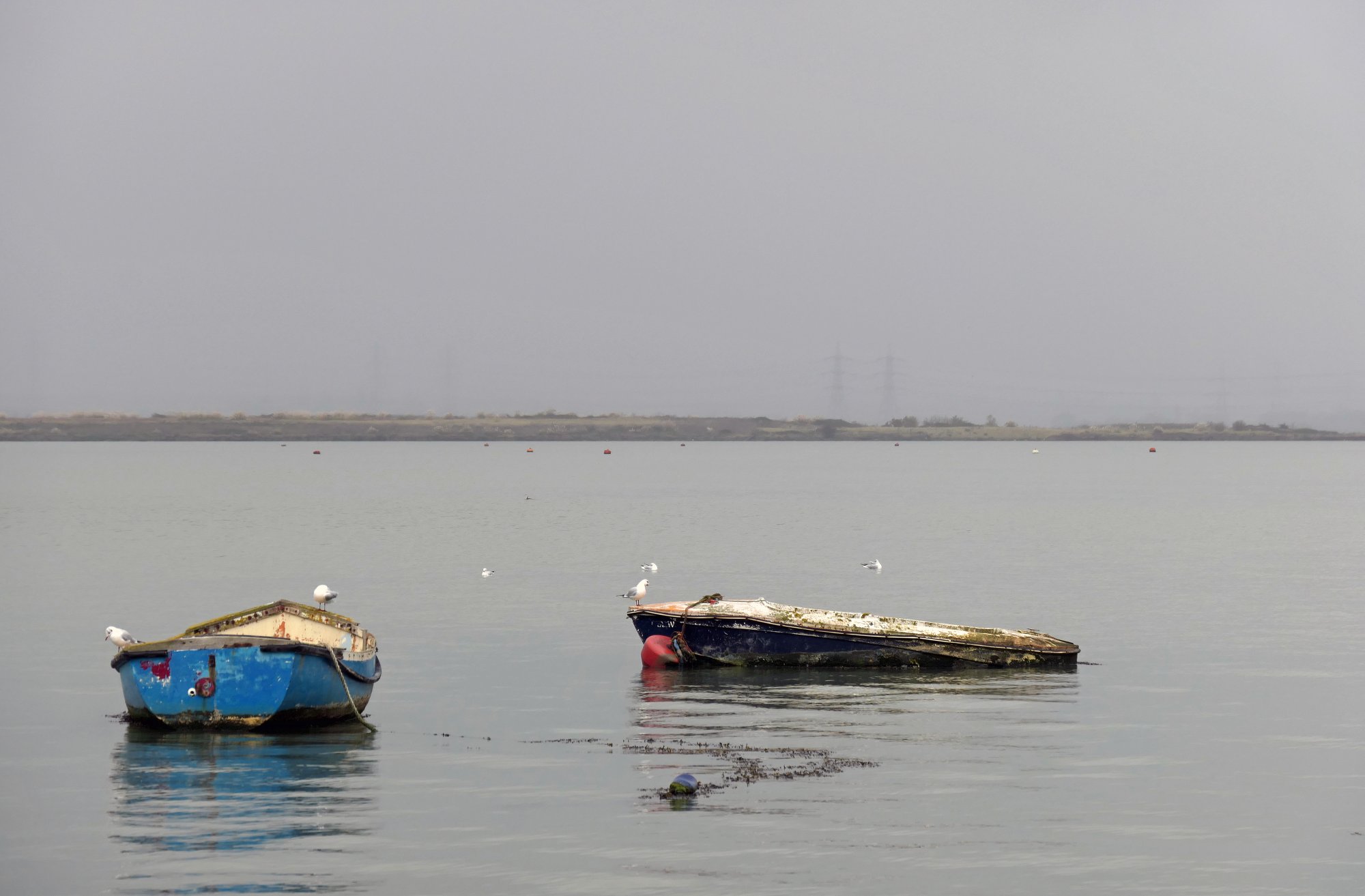 Moorings off The Strand.JPG