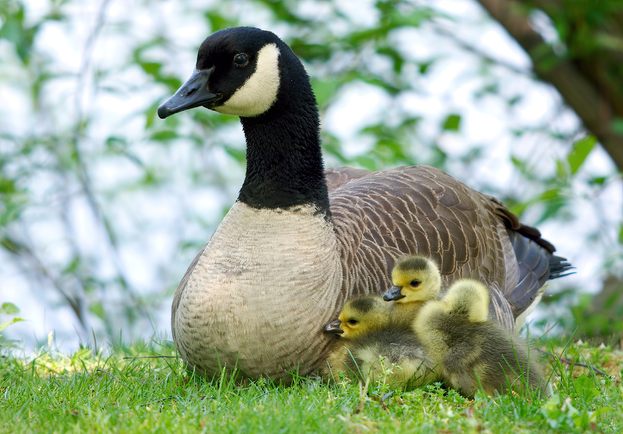 Mother's Day.jpg