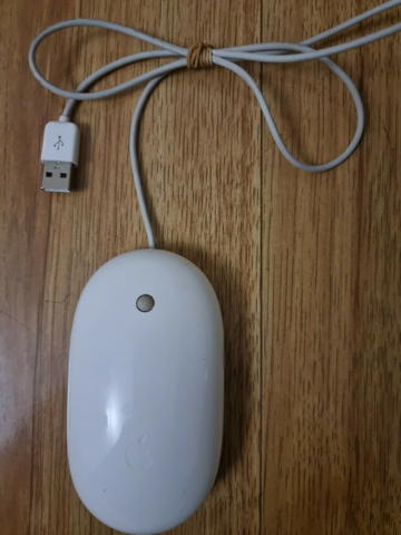mouse.jpg