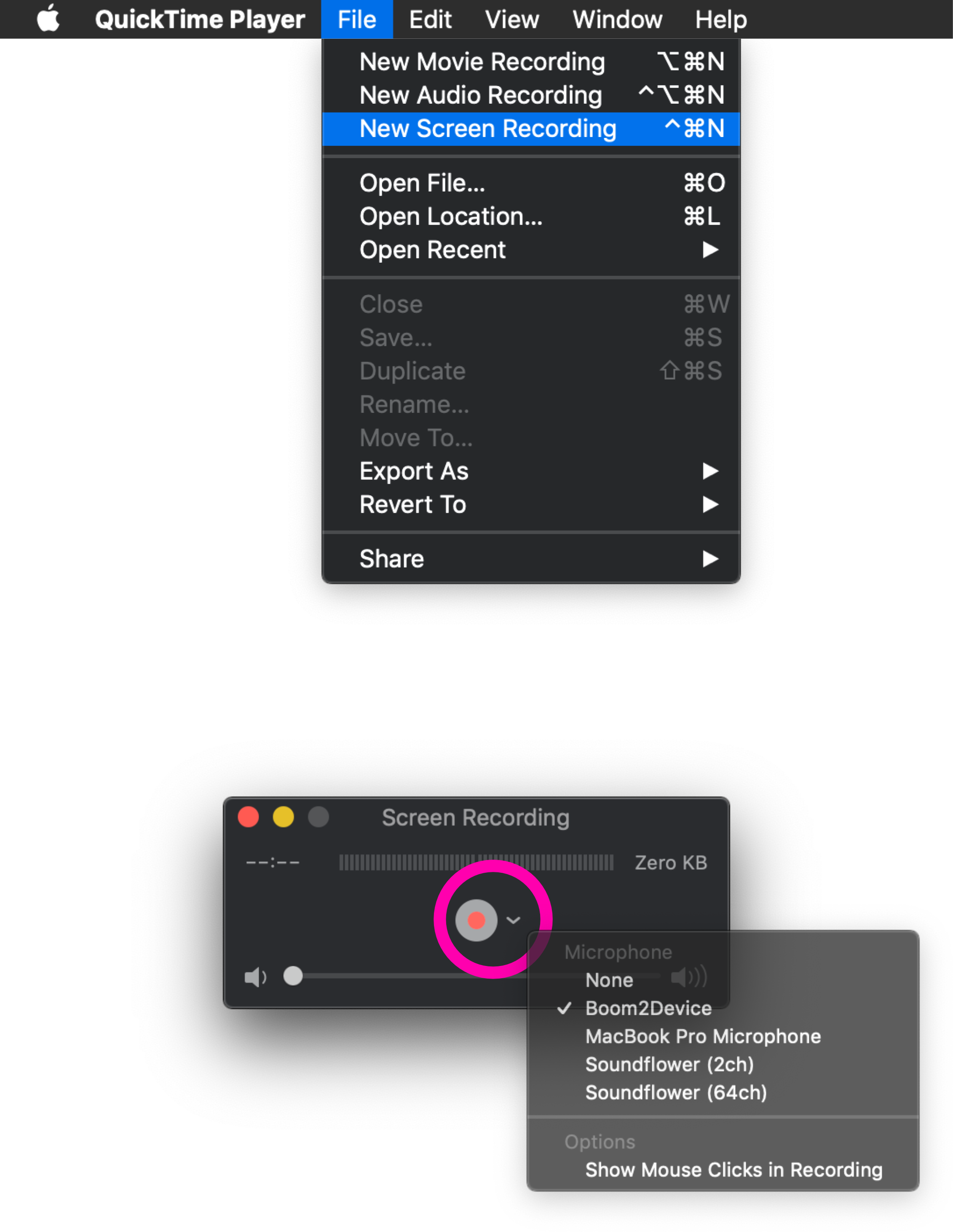 MRF-01-QTscreenRecording.png