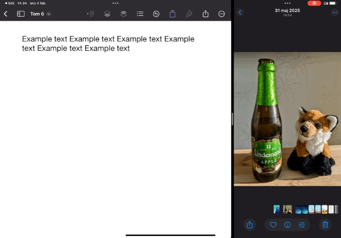 My project.gif