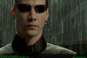 neo.jpeg