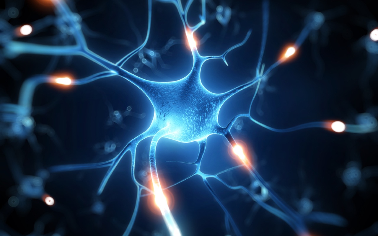 neuron4.jpg