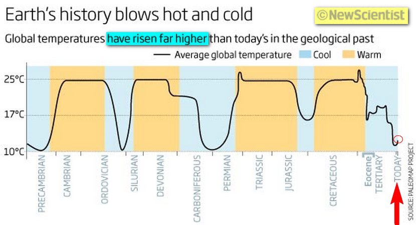 new-scientist-global-temperature-chart.jpg