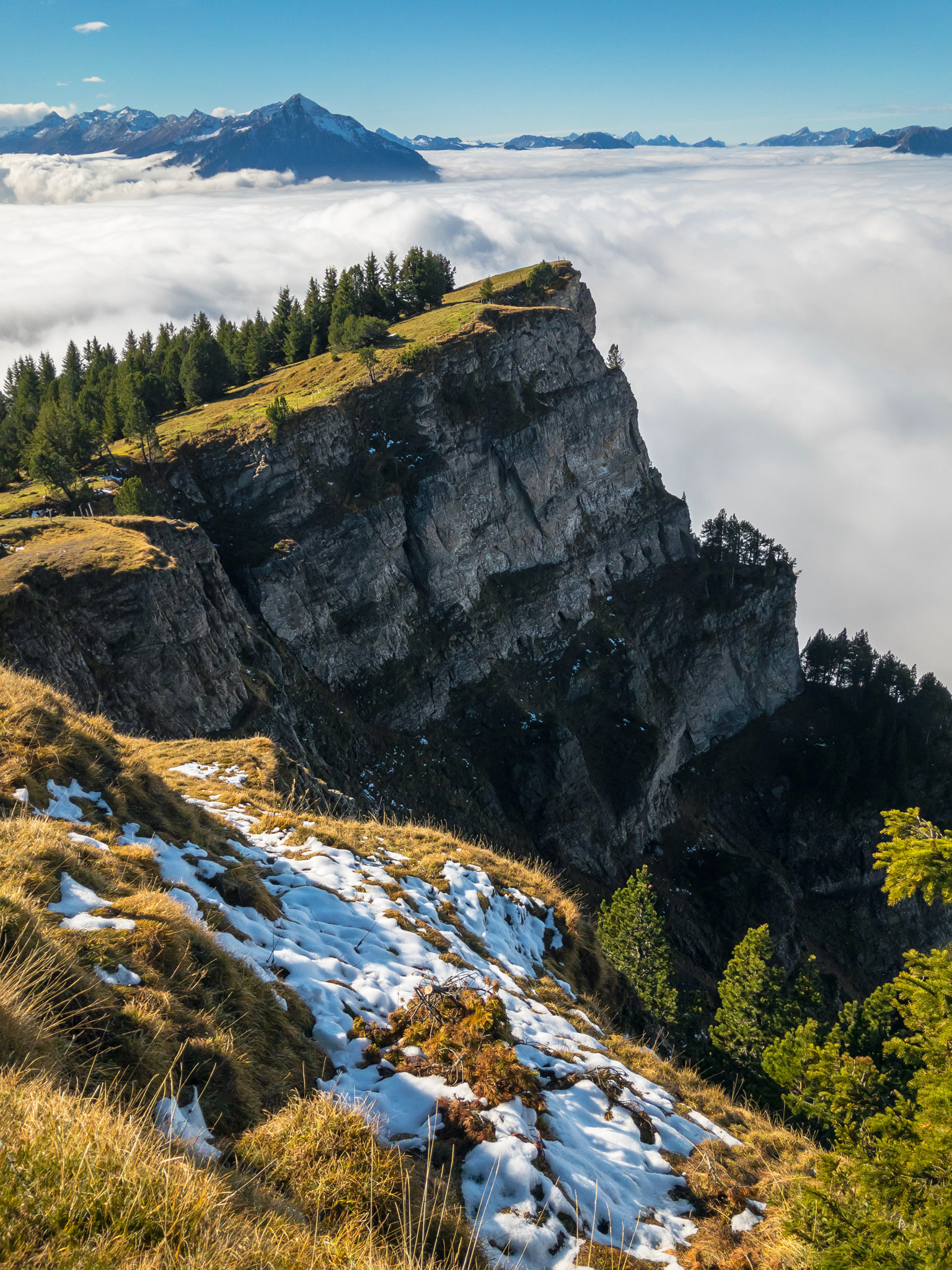 Niederhorn.jpg