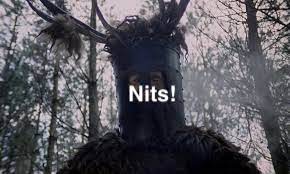 Nits.jpeg