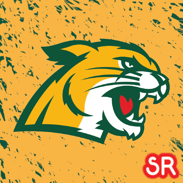 Northern-Michigan-Wildcats-01-1.png