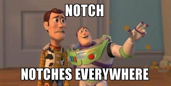 notch-notches-everywhere~2.jpg