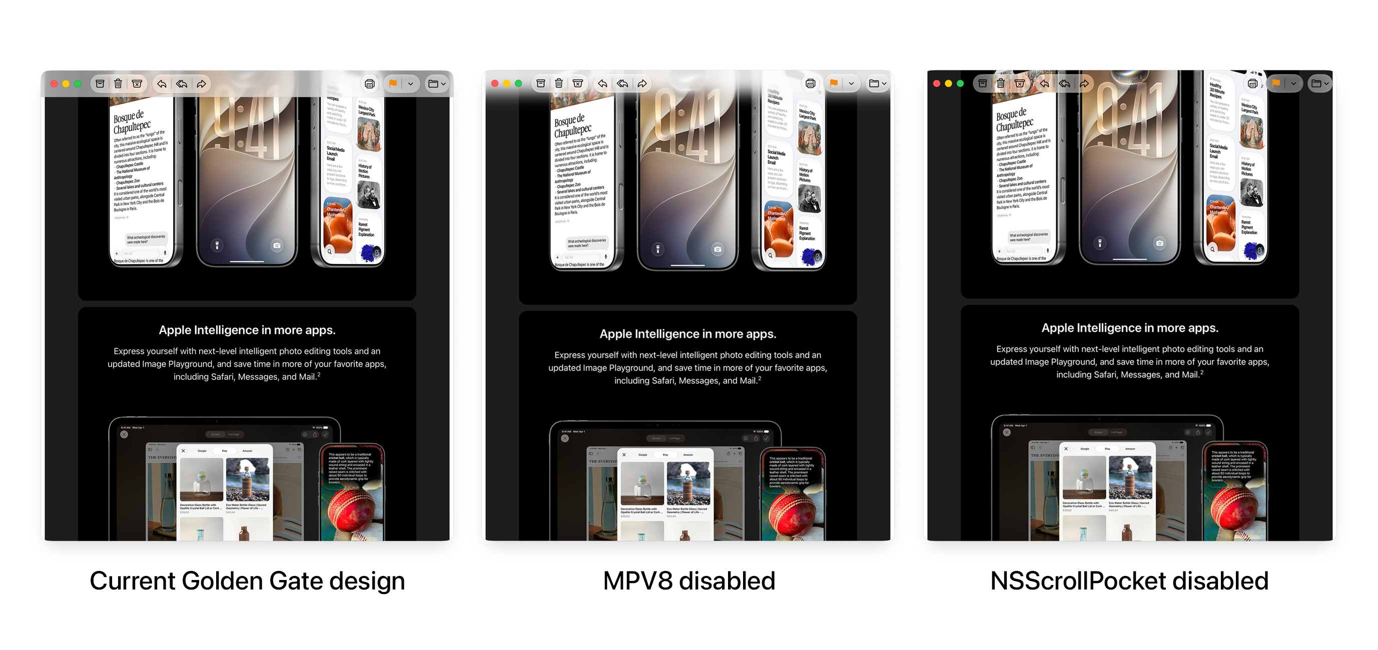 NSScrollPocketEnabled_MPV8.png