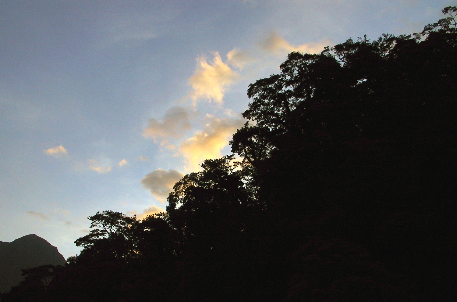 NZ_IMG_7541 (2).jpg