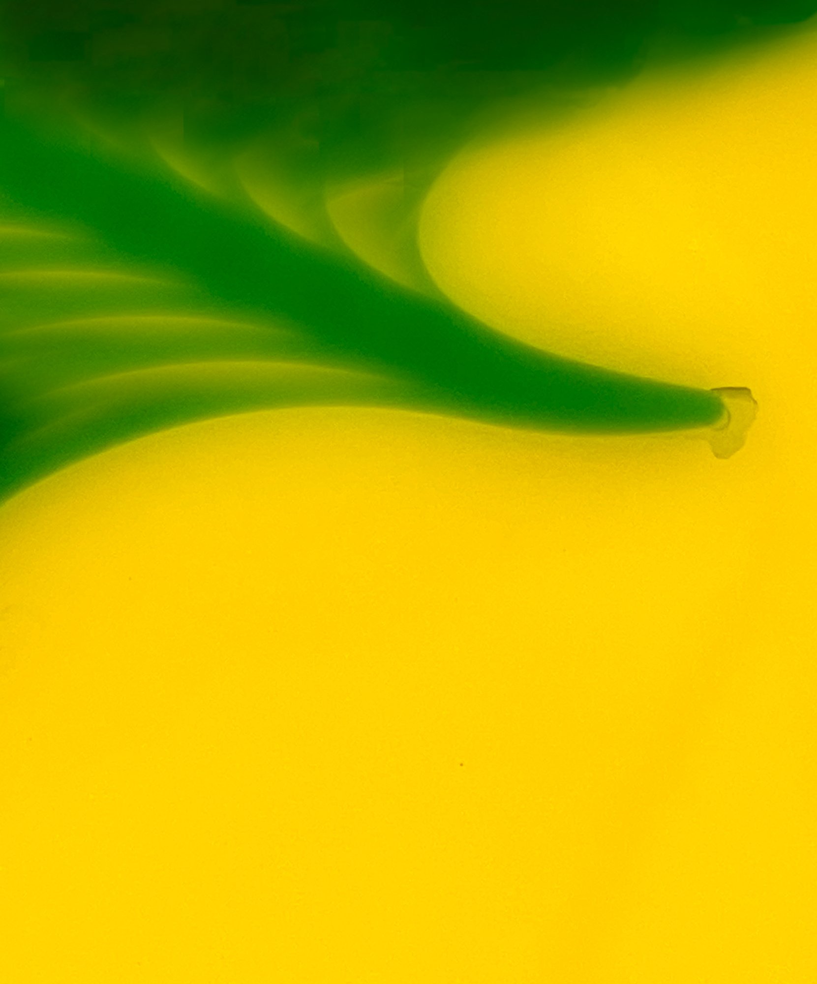 On the Tip of the Green.jpeg