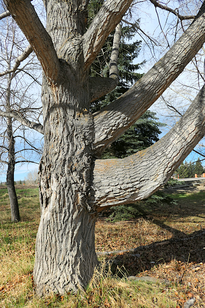 P1000014.jpg