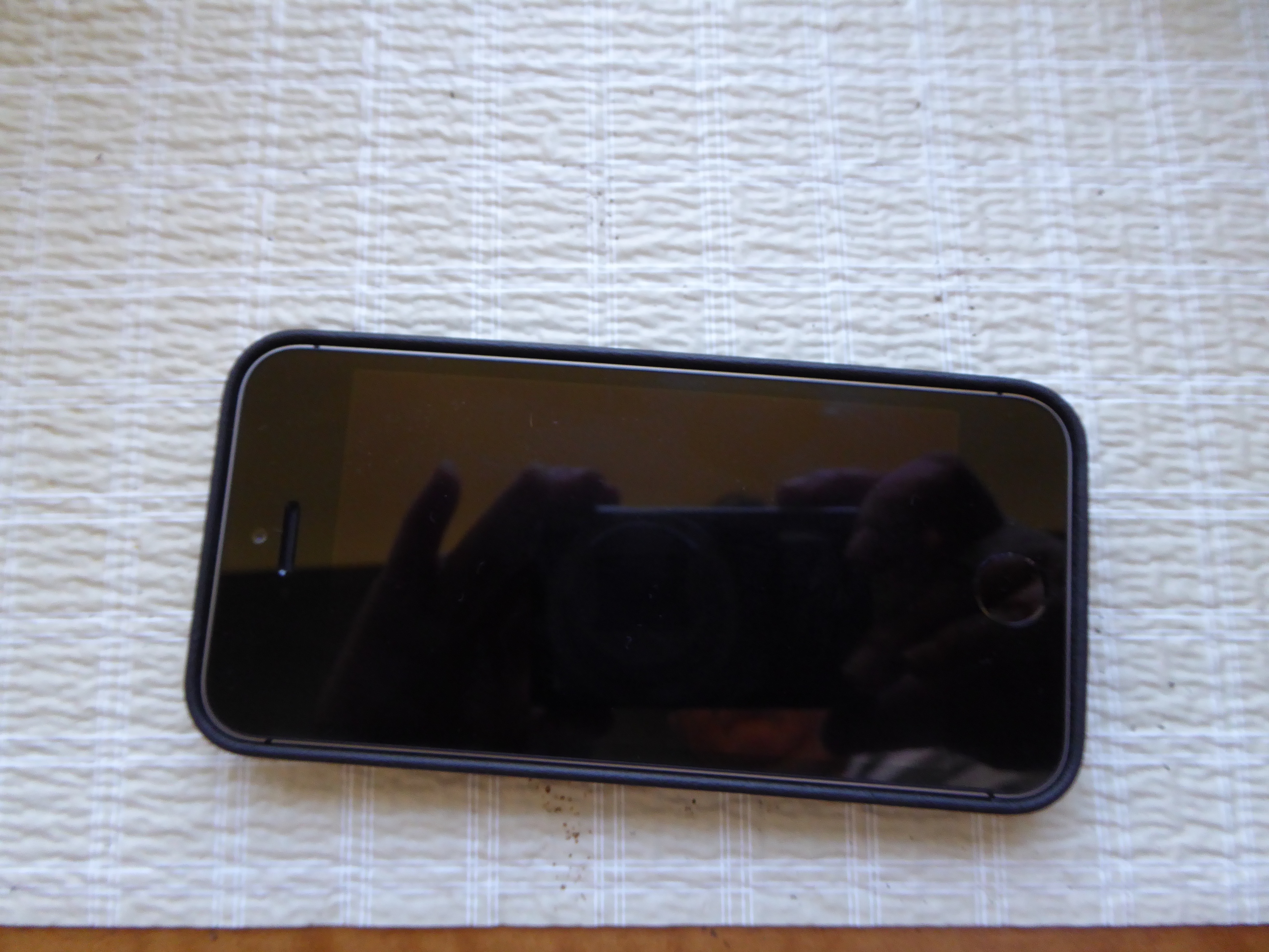 P1000016.jpg
