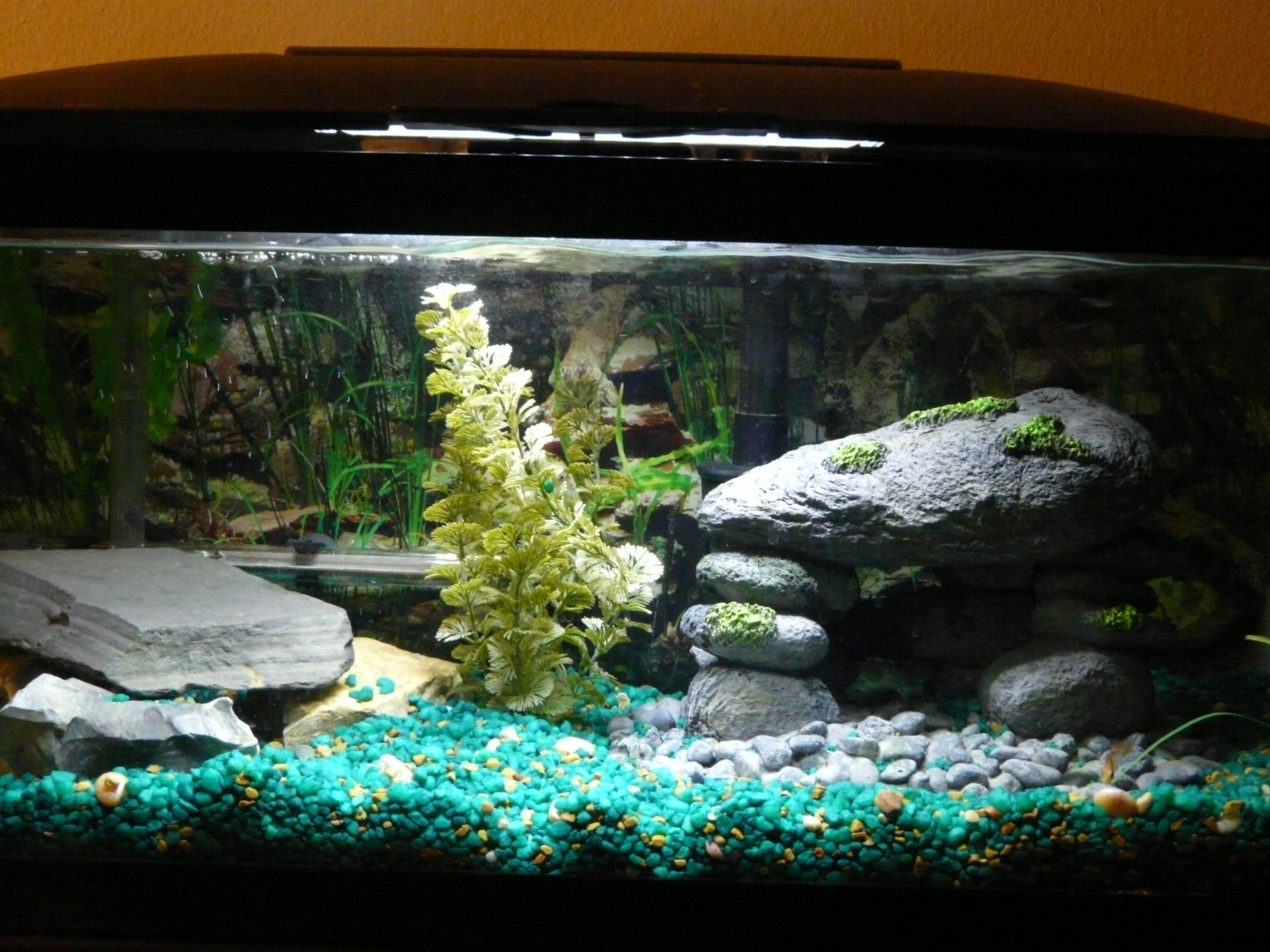 Aquarium