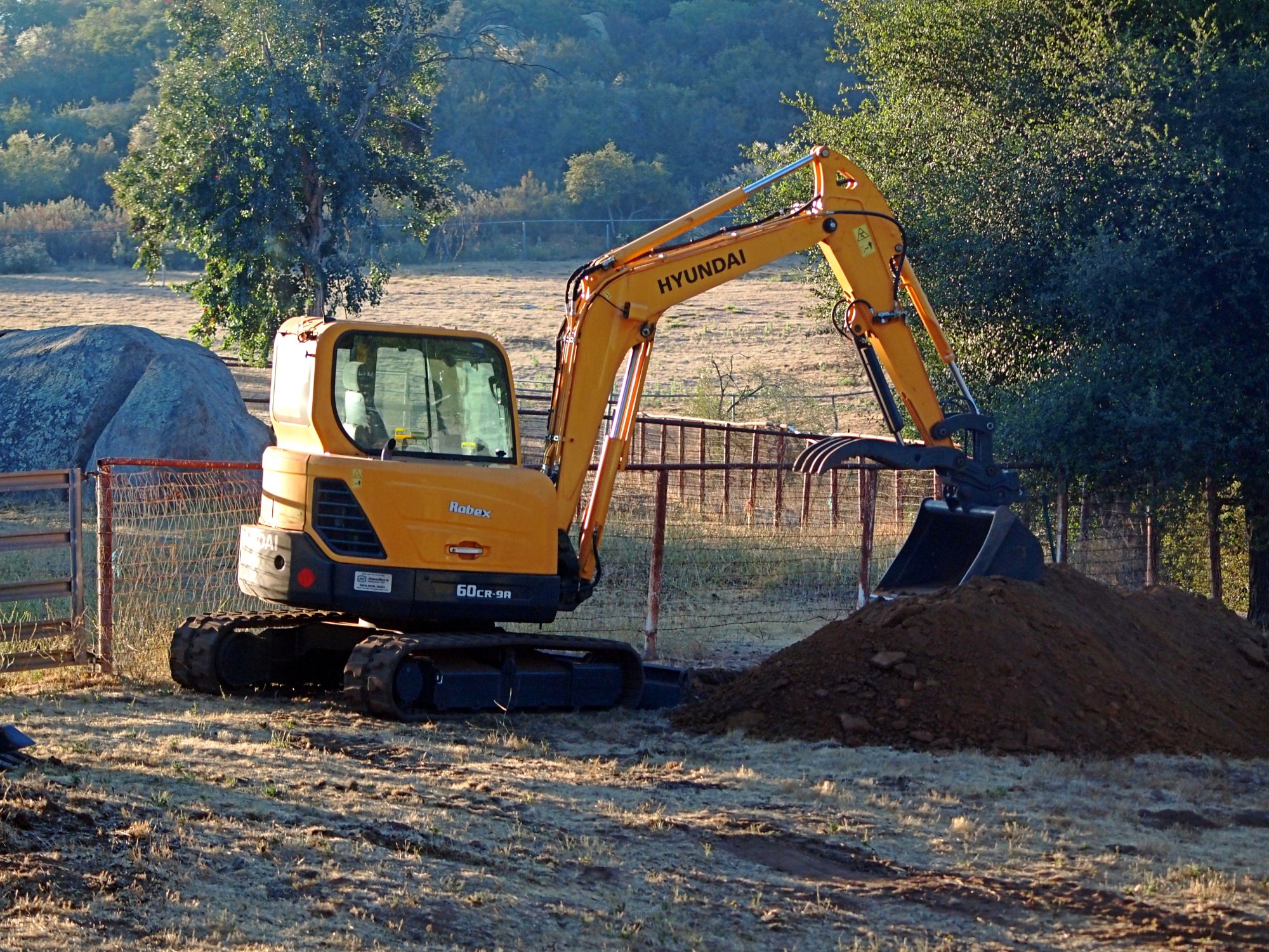 P1014527 x.jpg