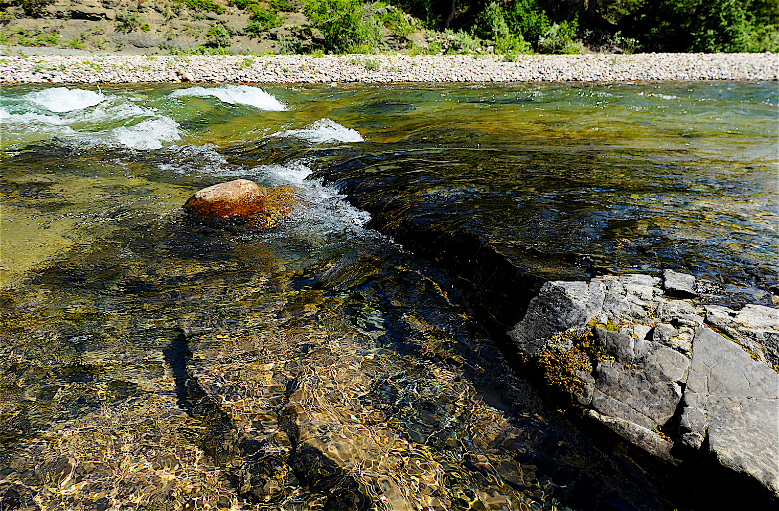 P1030210A.jpg