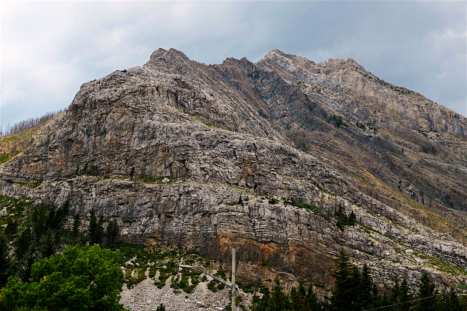 P1030264A.jpg