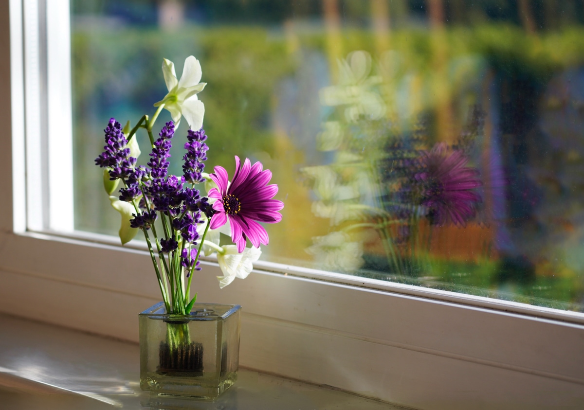 P52 Window - 1 (3).jpeg