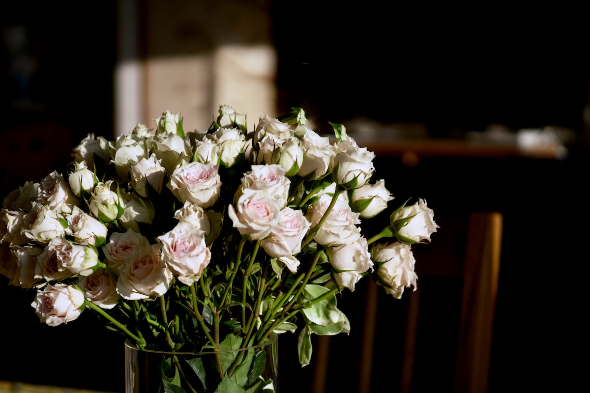 P52 window rose - 2.jpeg