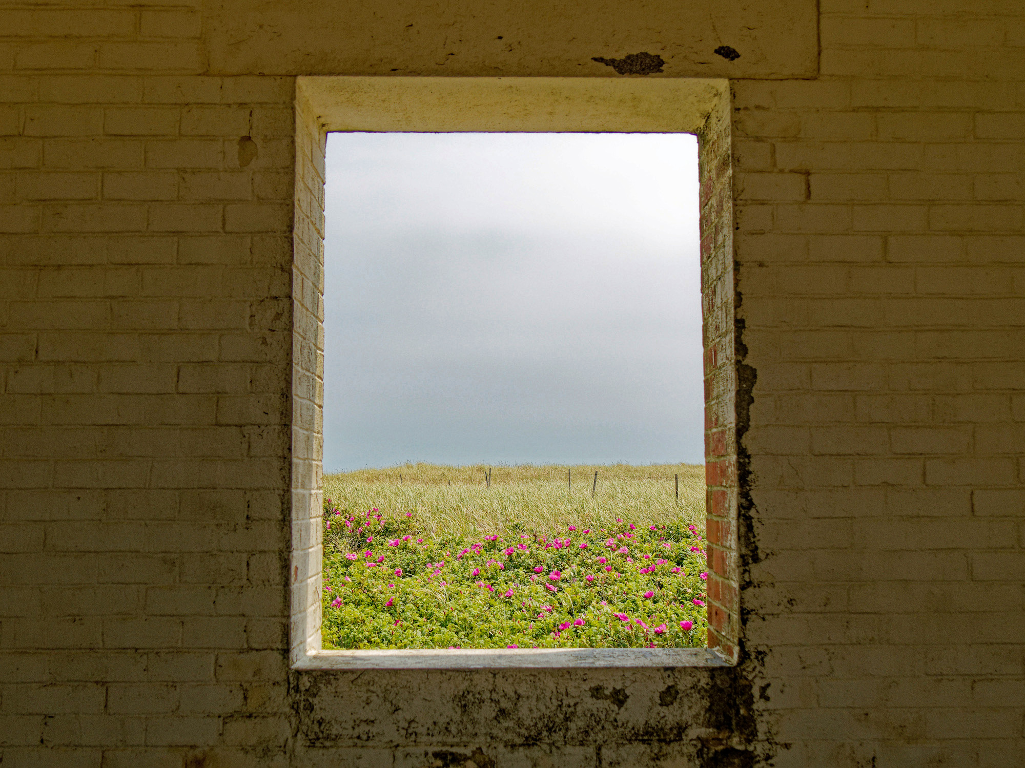 P6040047_DxOpx_DxO2k.jpg