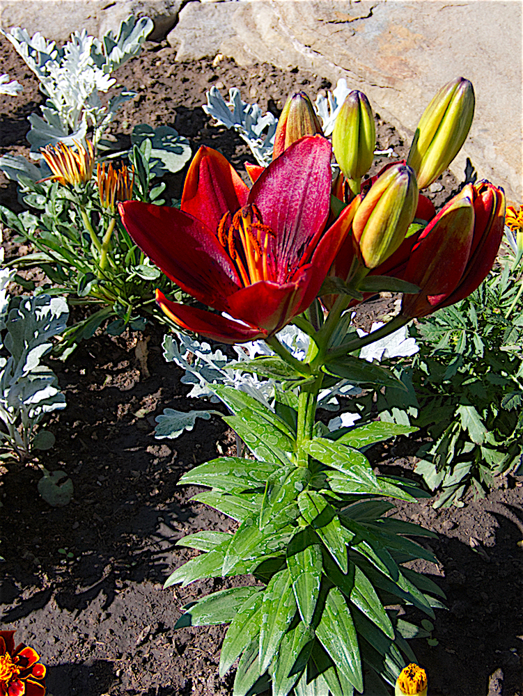 P6250246.jpg
