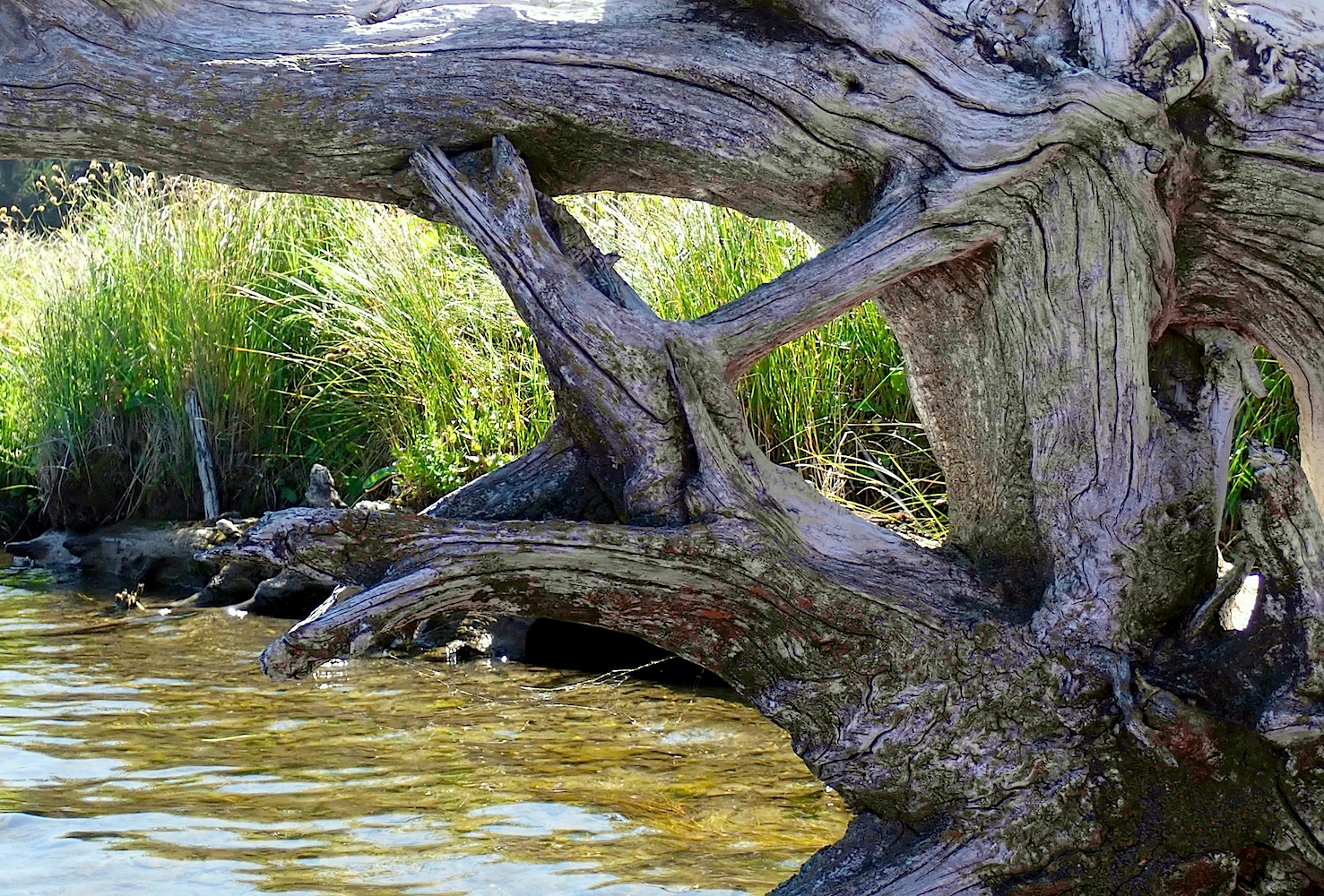 P8100347A.jpg