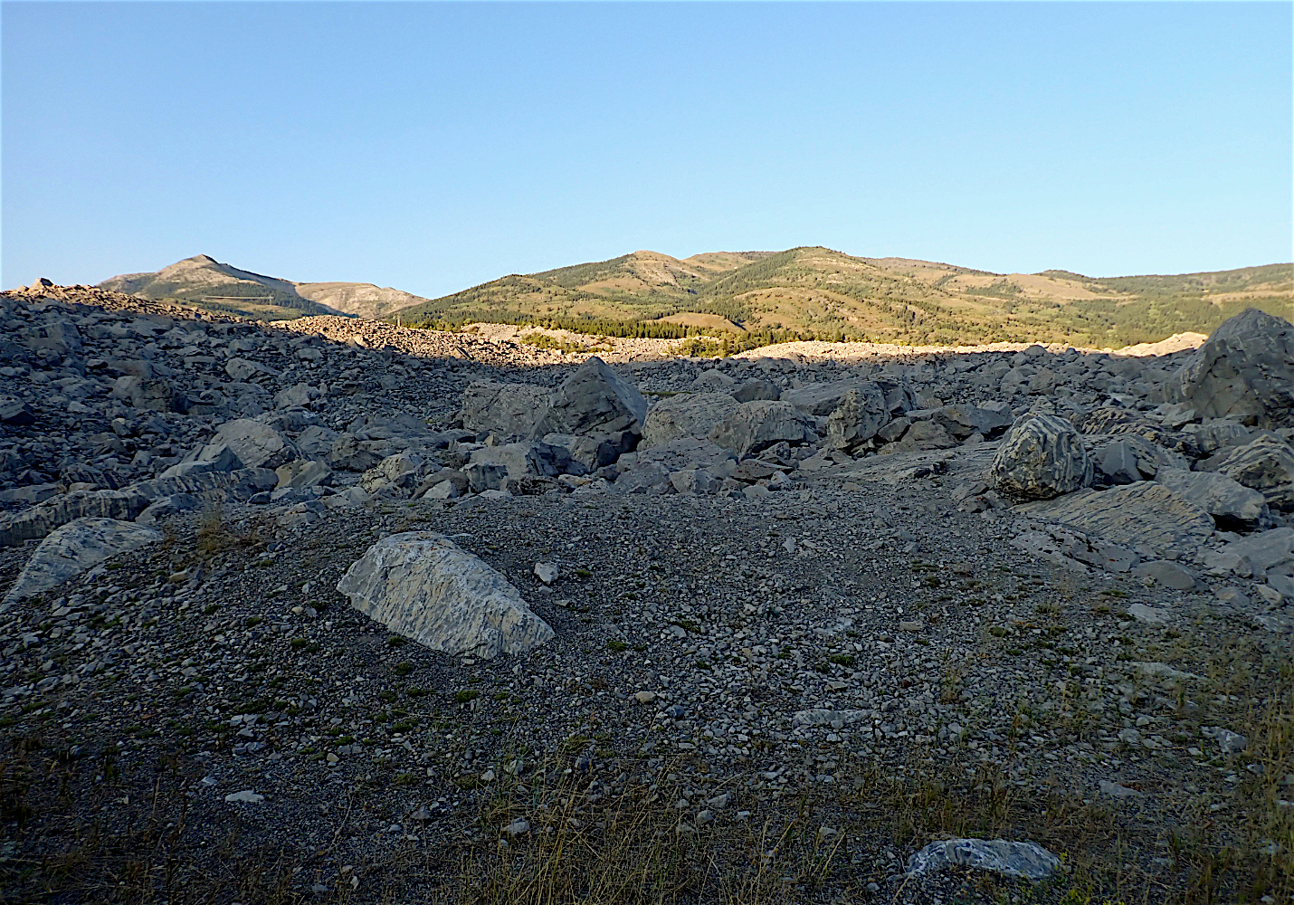 P8260721.jpg