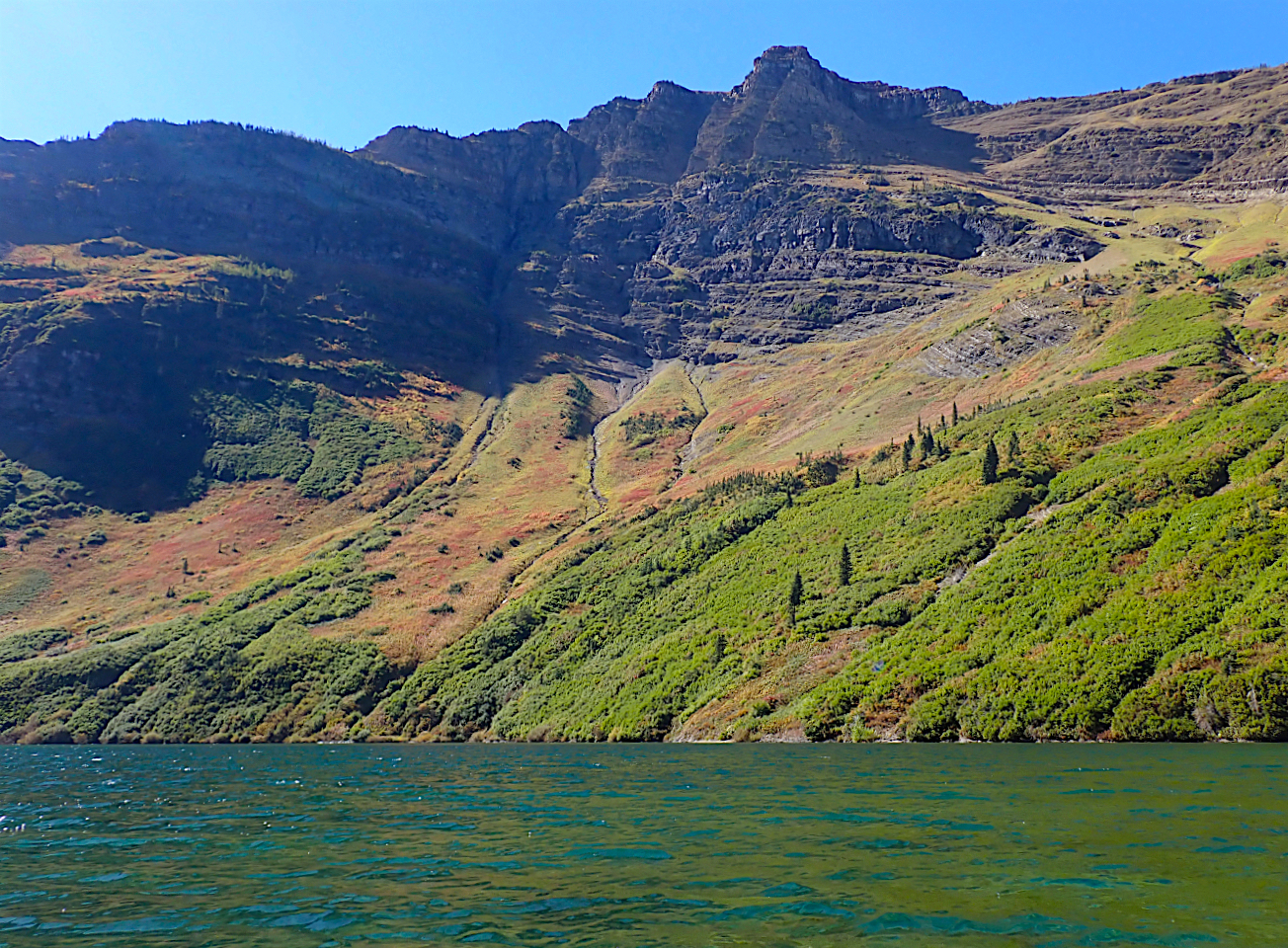 P9151062.jpg