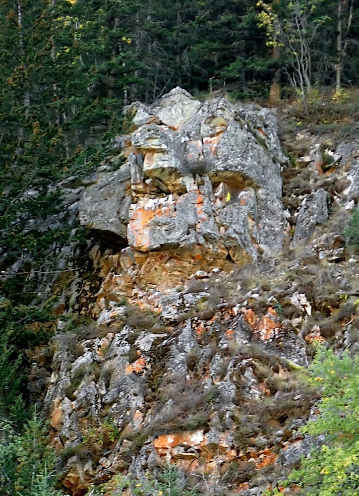 P9240576.jpg