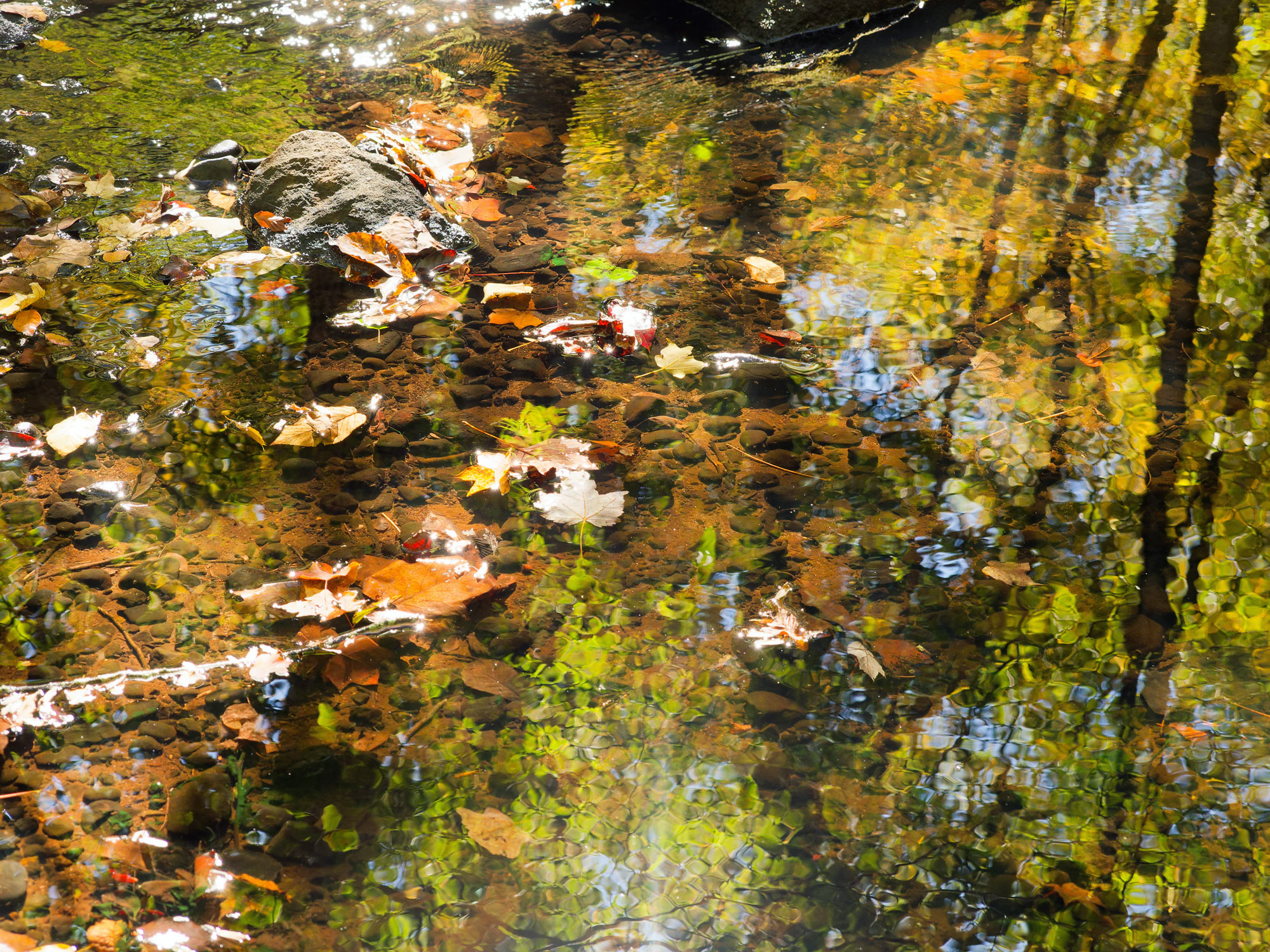PA170020_DxO2k.jpg